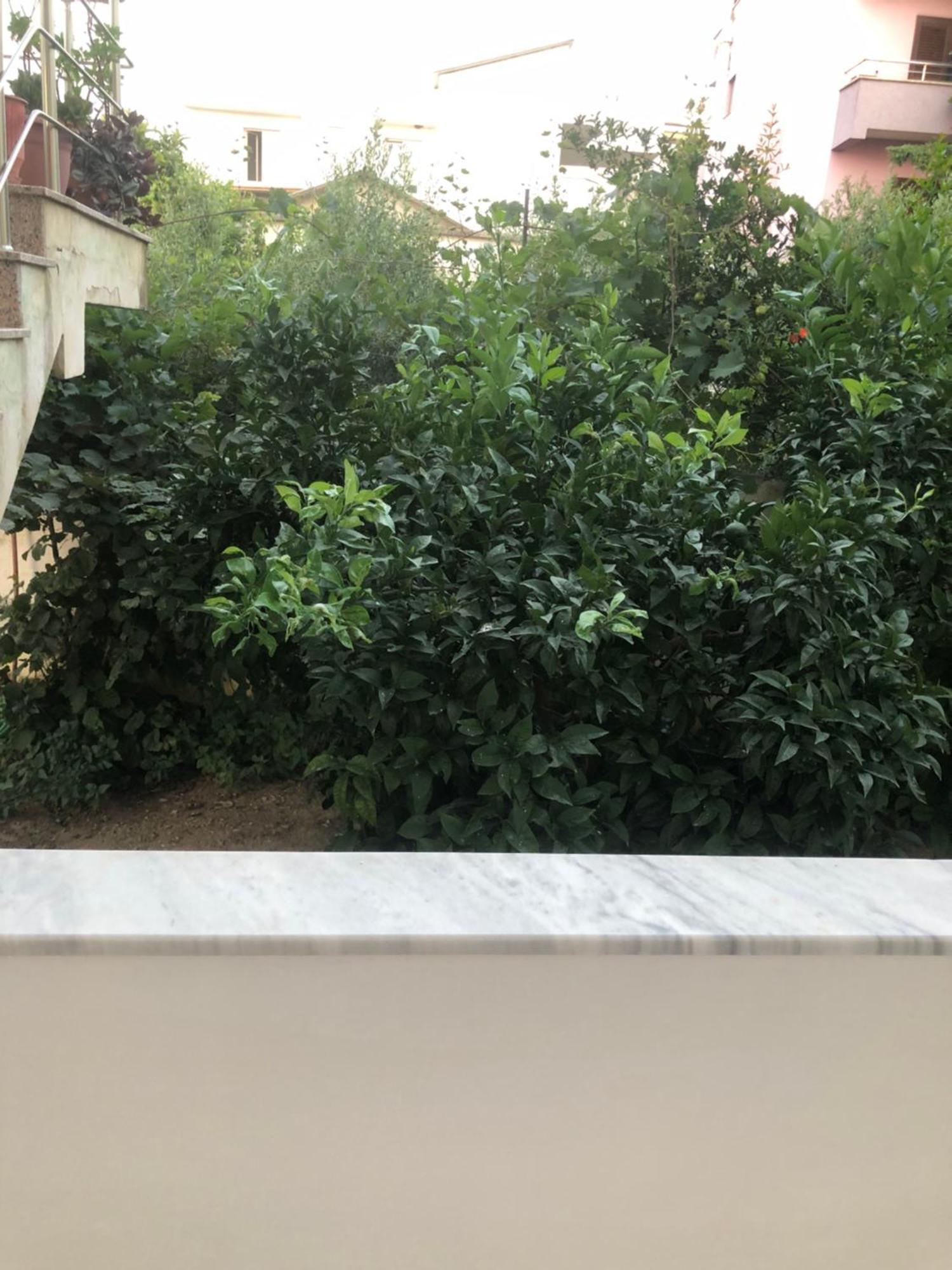Rooms For Rent Дуррес Экстерьер фото